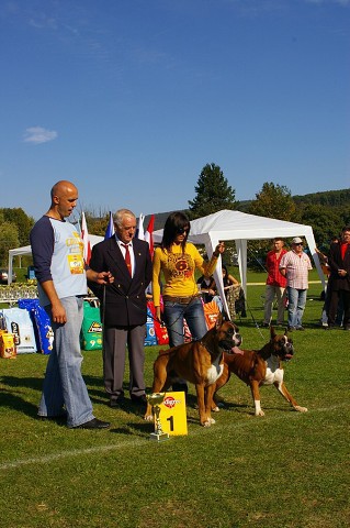 www.boxer-show.eu